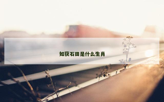 如获石田是什么生肖 如获石田是什么生肖