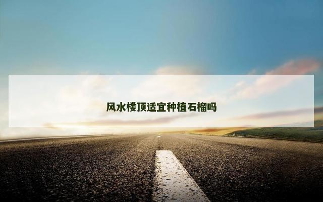 风水楼顶适宜种植石榴吗