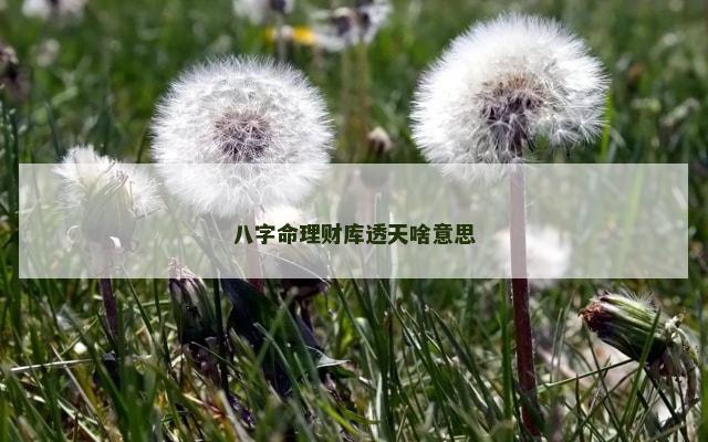 八字命理财库透天啥意思