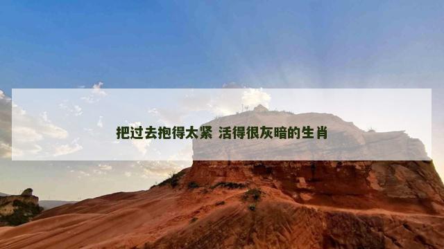 把过去抱得太紧 活得很灰暗的生肖