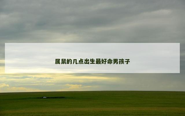 属鼠的几点出生最好命男孩子