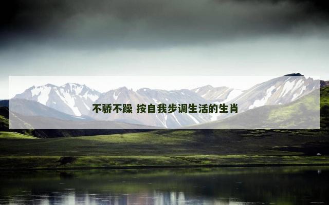 不骄不躁 按自我步调生活的生肖