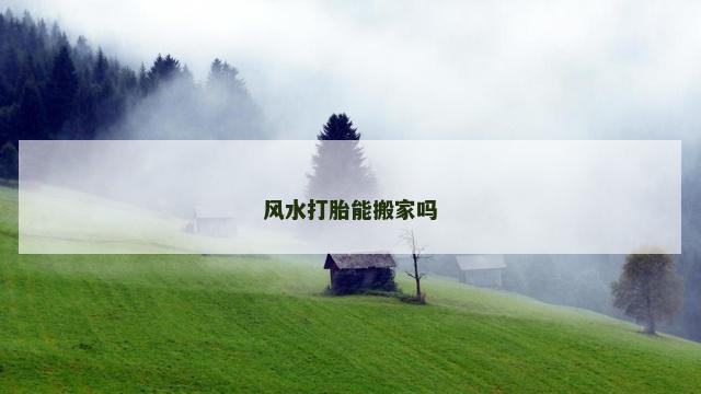 风水打胎能搬家吗