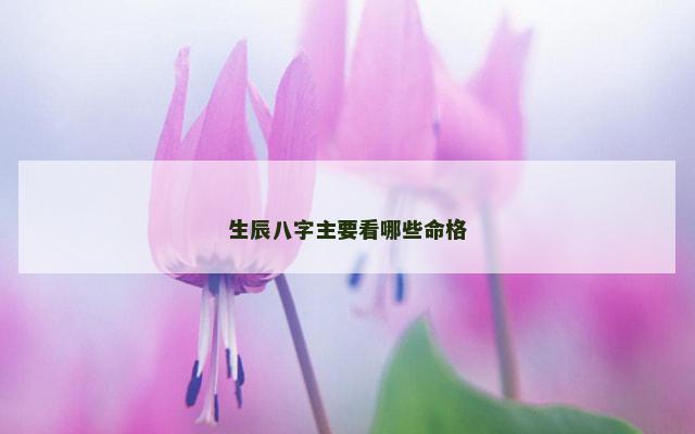 生辰八字主要看哪些命格
