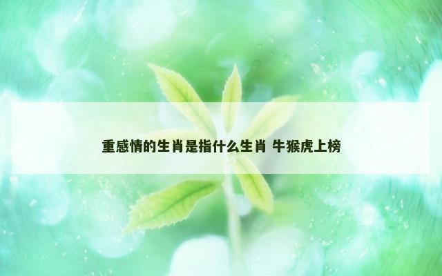 重感情的生肖是指什么生肖 牛猴虎上榜