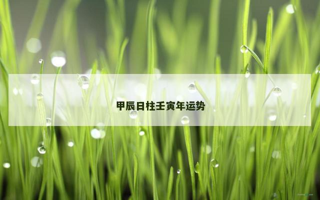 甲辰日柱壬寅年运势