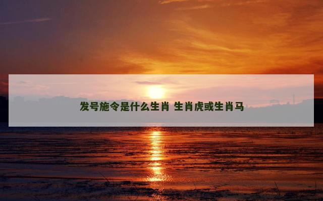 发号施令是什么生肖 生肖虎或生肖马