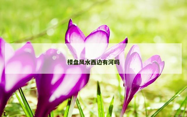 楼盘风水西边有河吗