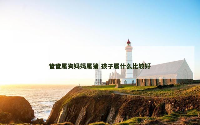 爸爸属狗妈妈属猪 孩子属什么比较好