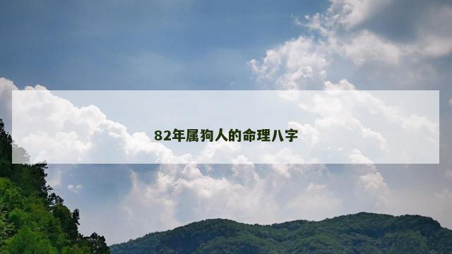 82年属狗人的命理八字