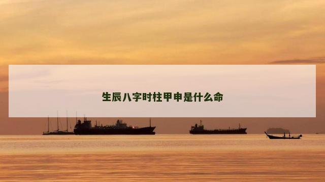 生辰八字时柱甲申是什么命