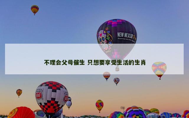 不理会父母催生 只想要享受生活的生肖