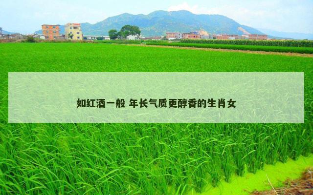 如红酒一般 年长气质更醇香的生肖女