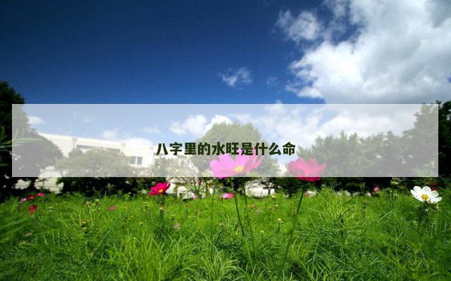 八字里的水旺是什么命