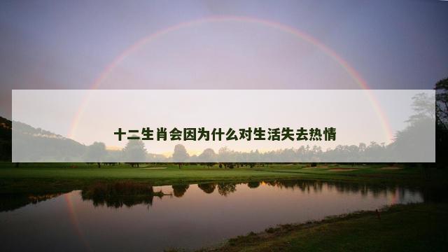 十二生肖会因为什么对生活失去热情