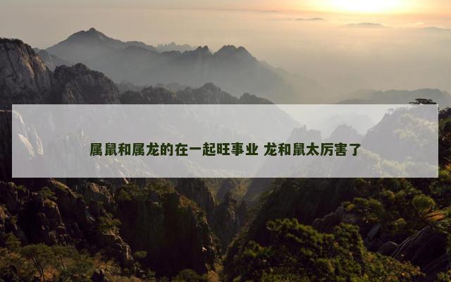 属鼠和属龙的在一起旺事业 龙和鼠太厉害了