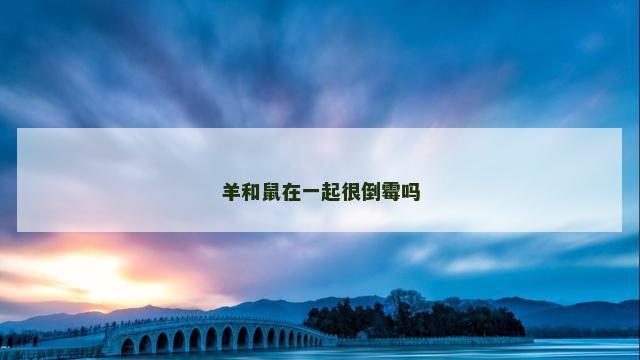 羊和鼠在一起很倒霉吗