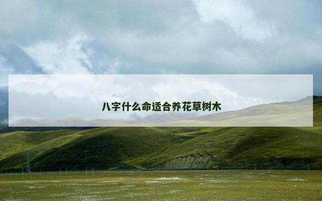 八字什么命适合养花草树木 八字什么命适合养花草树木