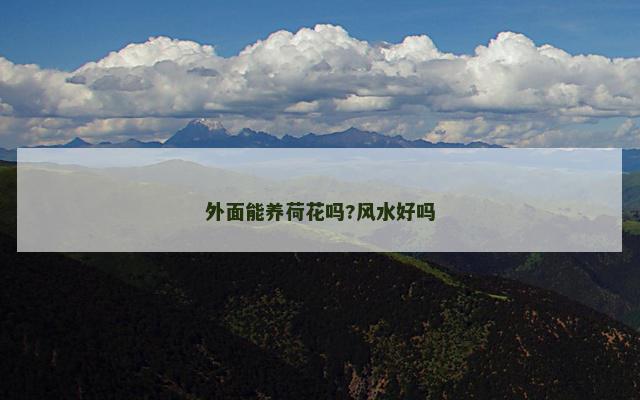 外面能养荷花吗?风水好吗