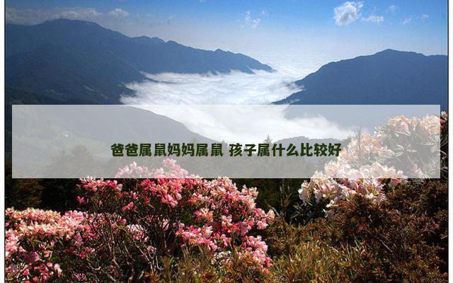 爸爸属鼠妈妈属鼠 孩子属什么比较好 爸爸属鼠妈妈属鼠 孩子属什么比较好