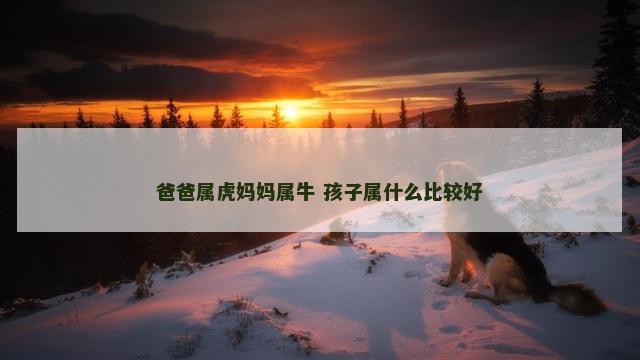爸爸属虎妈妈属牛 孩子属什么比较好