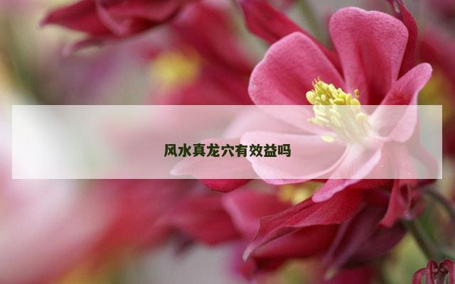 风水真龙穴有效益吗 风水真龙穴有效益吗