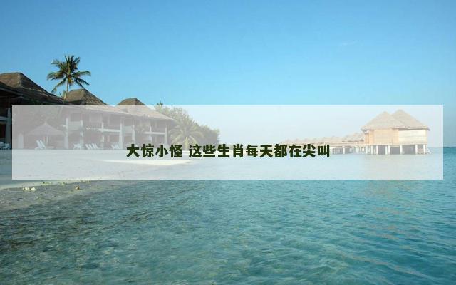 大惊小怪 这些生肖每天都在尖叫 大惊小怪 这些生肖每天都在尖叫