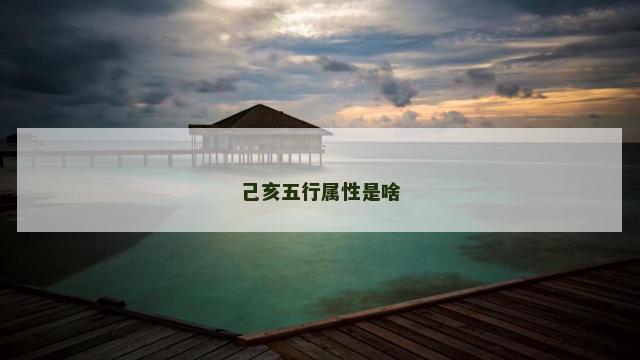 己亥五行属性是啥