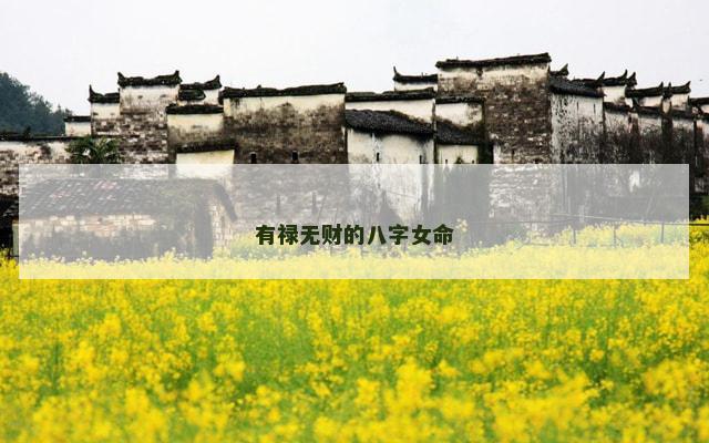 有禄无财的八字女命