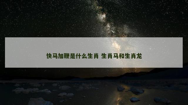 快马加鞭是什么生肖 生肖马和生肖龙