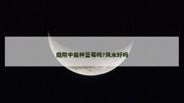 庭院中能种蓝莓吗?风水好吗 庭院中能种蓝莓吗?风水好吗