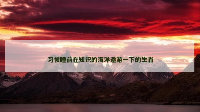习惯睡前在知识的海洋遨游一下的生肖