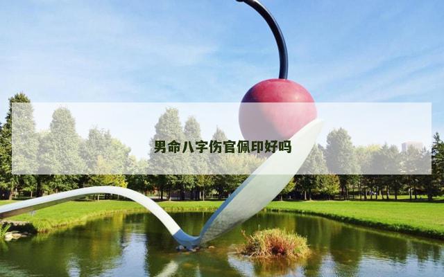 男命八字伤官佩印好吗