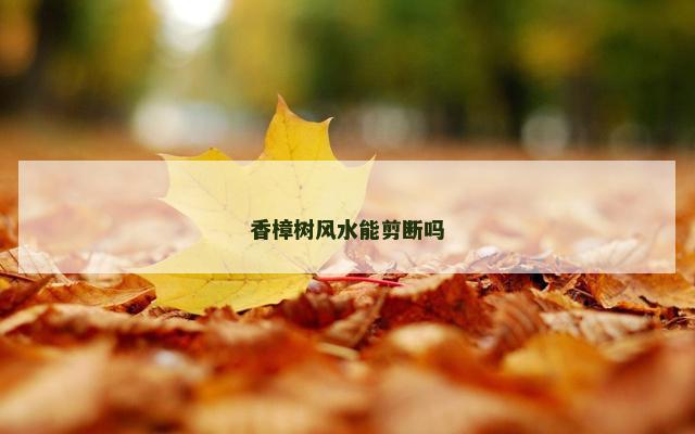 香樟树风水能剪断吗