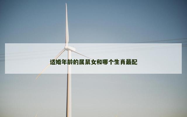 适婚年龄的属鼠女和哪个生肖最配