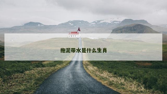 拖泥带水是什么生肖