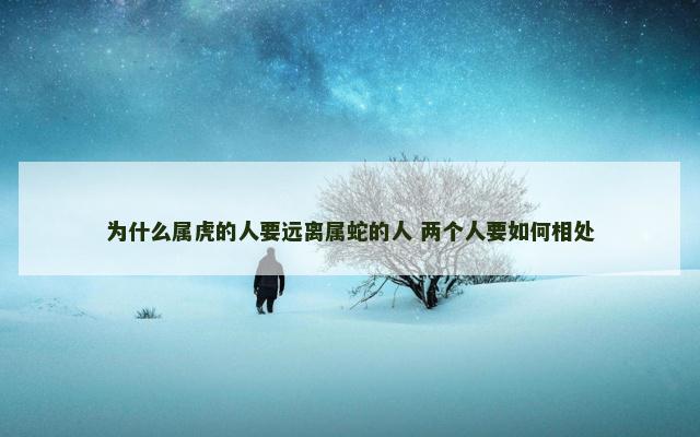 为什么属虎的人要远离属蛇的人 两个人要如何相处