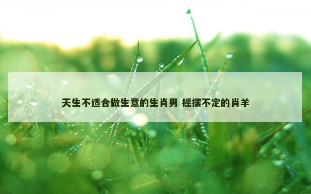 天生不适合做生意的生肖男 摇摆不定的肖羊