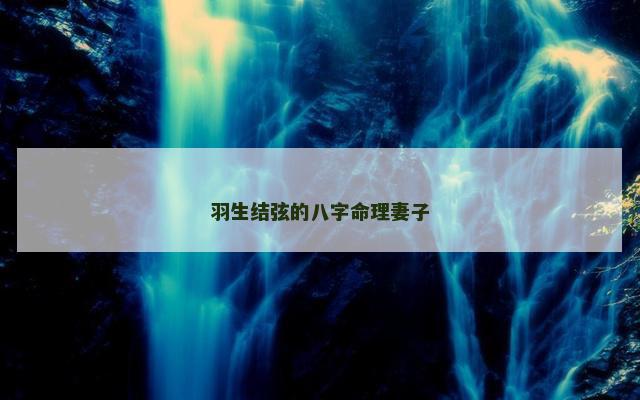 羽生结弦的八字命理妻子