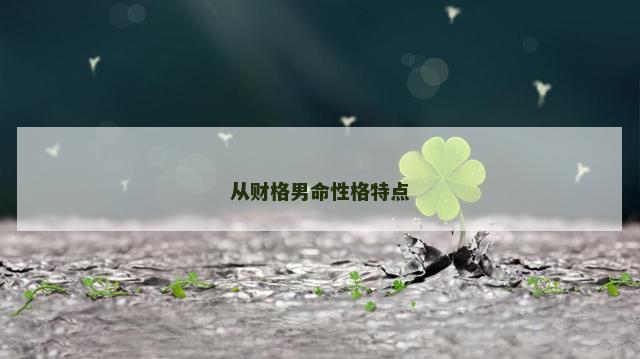 从财格男命性格特点