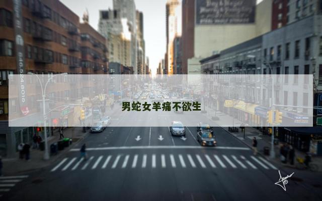 男蛇女羊痛不欲生