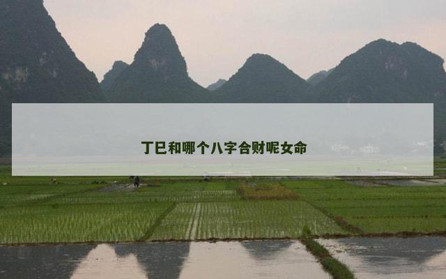 丁巳和哪个八字合财呢女命