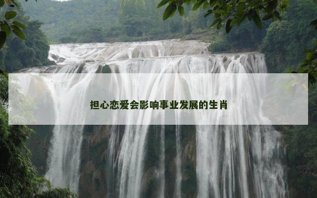 担心恋爱会影响事业发展的生肖