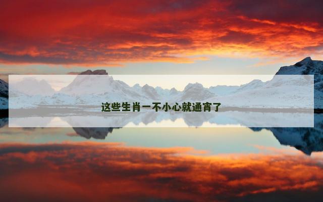 这些生肖一不小心就通宵了