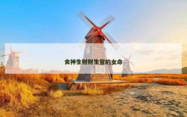 食神生财财生官的女命