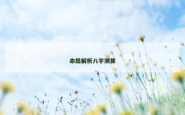 命局解析八字测算
