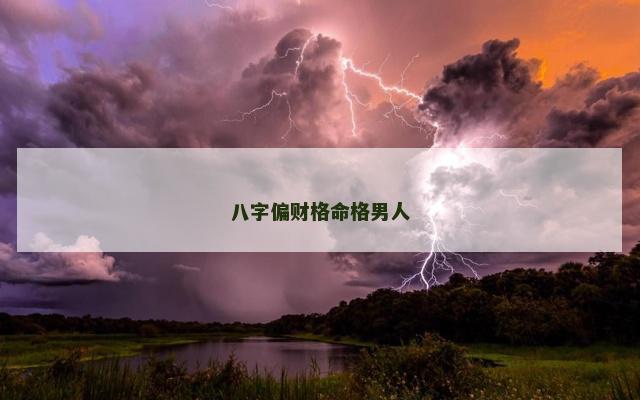 八字偏财格命格男人