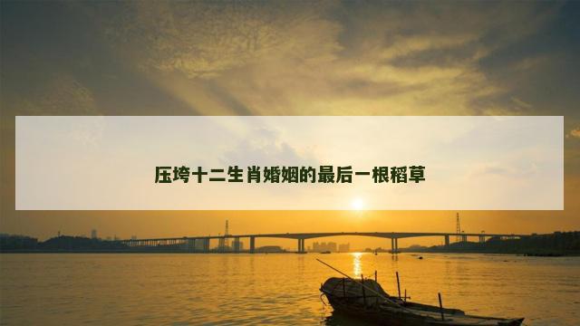 压垮十二生肖婚姻的最后一根稻草