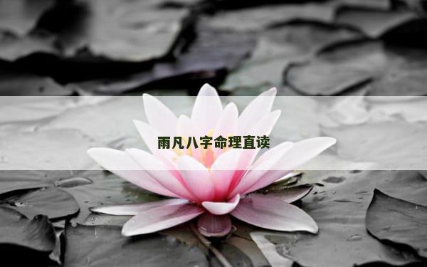 雨凡八字命理直读