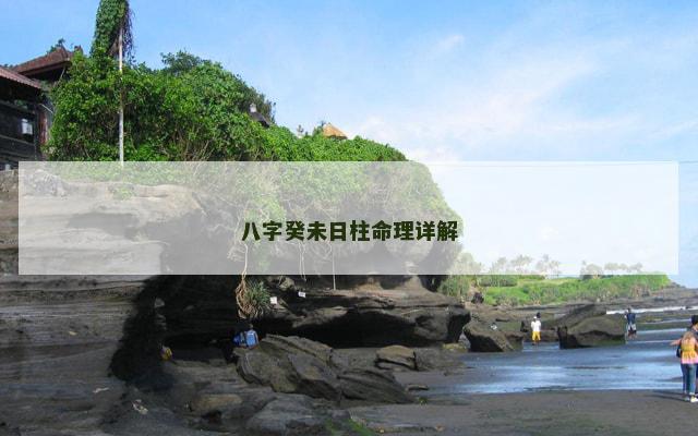 八字癸未日柱命理详解